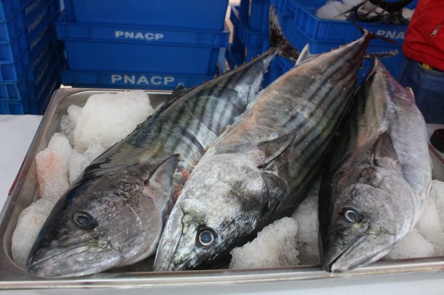 MUNICIPALIDAD DE CHILCA BUSCA QUE MÁS FAMILIAS CONSUMAN PESCADO