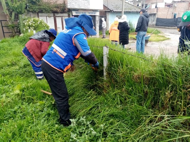 PROGRAMA CHILCA VERDE SIGUE LIMPIANDO RIOS Y SEMBRANDO PLANTAS