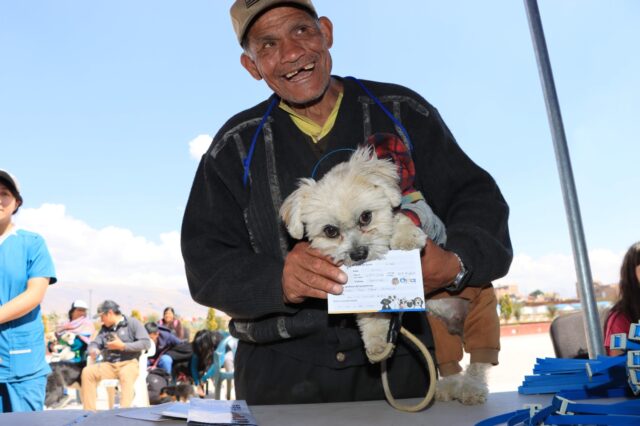 3800 PERROS YA TIENEN SU DOCUMENTO DE IDENTIDAD EN CHILCA