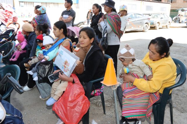 CHILCA IMPULSA LACTANCIA MATERNA Y DISMINUIR ANEMIA EN BEBES