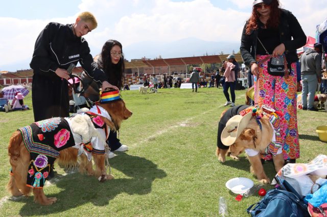 CHILCA FEST 2025 PRESENTA ESPERADO CONCURSO CANINO