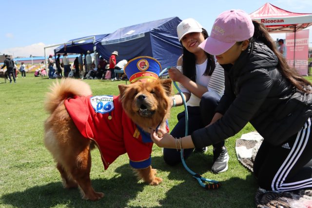 PERROS EN ROPA TÍPICA SERÁN ATRACTIVO EN CONCURSO CANINO