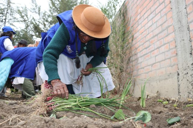 ADULTOS MAYORES SE MOTIVAN CON ACTIVIDADES PRODUCTIVAS