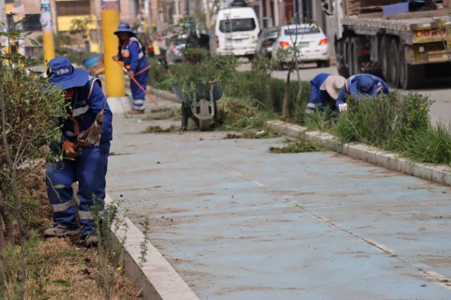Programa Chilca Verde refuerza limpieza y mantenimiento de áreas verdes en el distrito
