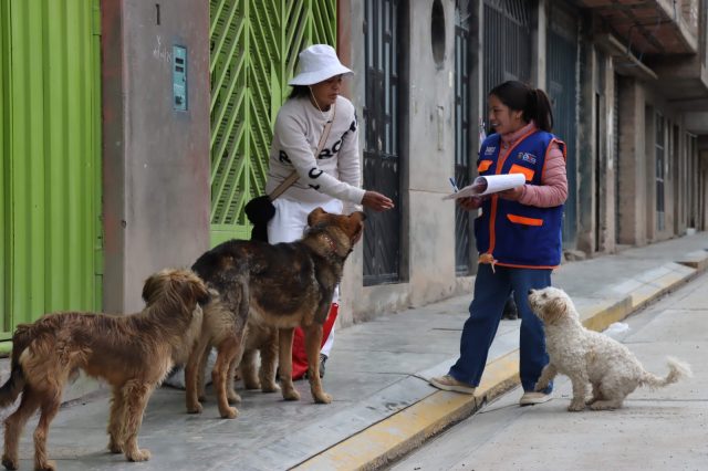 Más de 150 perros fueron empadronados en Auquimarca y Auray